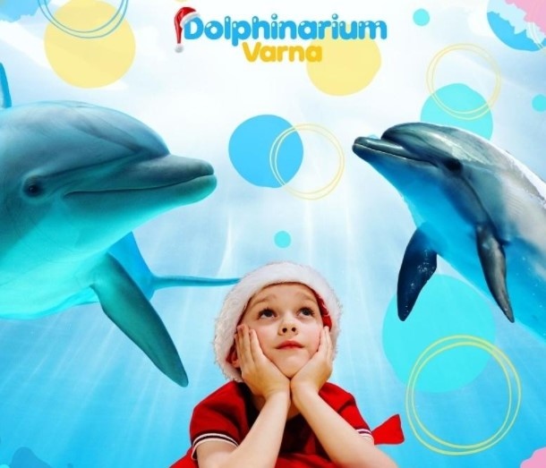 Делфинариум Варна работи всеки ден и е отворен за всички